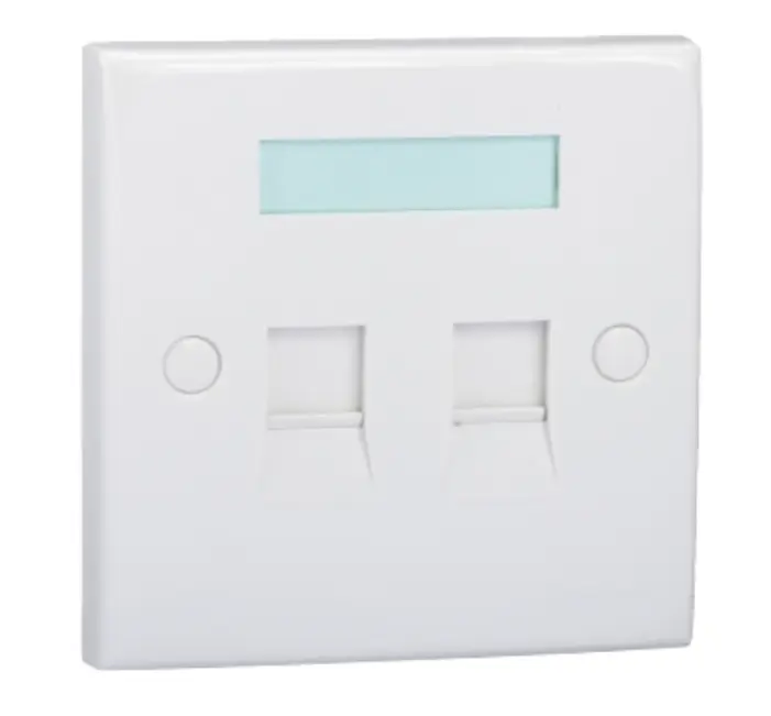 SCHNEIDER DCBRWPS2PSWT Electric 2 GANG SHUTTERED KEYSTONE WALL PLATE 施耐德 2位Keystone面板備防塵活門 (不連模塊)